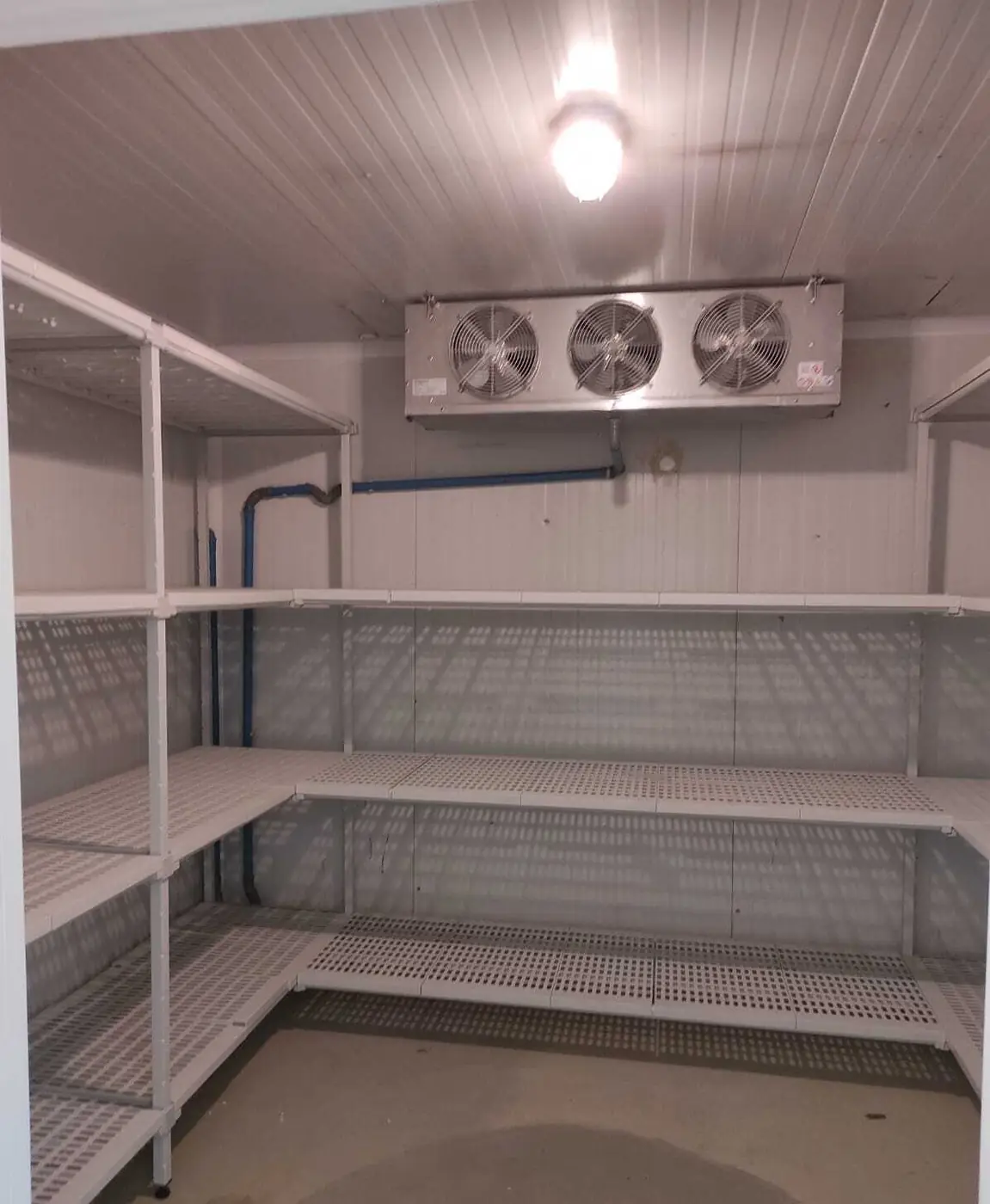 Interno di una cella frigorifera con scaffalature e evaporatore a soffitto